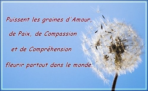 voeux amour paix compassion